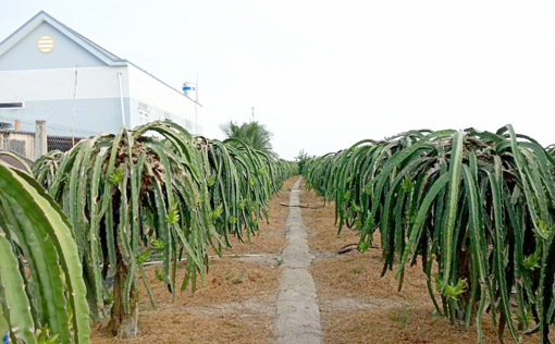CS1-16032023-2.jpg